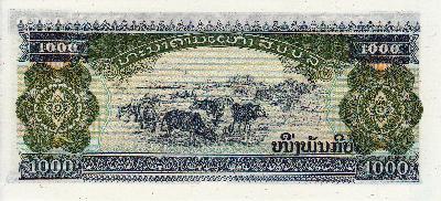 Beschrijving achterzijde: COW